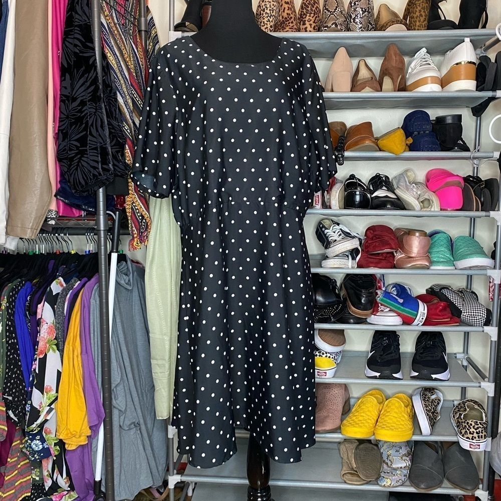 Spruce & Sage Classic Polka Dot Fit & Flare Dress